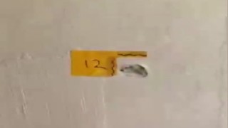 Polisiz diyerek eve giren şüpheliler anne ile oğlunu vurdu