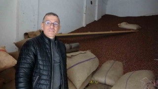 Ramazan Bayramı öncesi fındık fiyatları 240 liraya geriledi