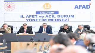 Sahipsiz hayvanlar yakın takipte