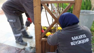 Sakaryada caddeler, parklar ve camiler bayrama hazır hale geldi