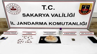 Sakaryanın iki ilçesinde zehir tacirlerine operasyon: 2 tutuklama