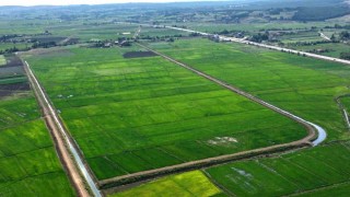 Samsunda bozulan tarım arazileri cezasız kalmadı: 48 işlem uygulandı