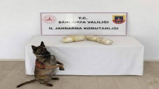 Şanlıurfada 2 kilogram uyuşturucu ele geçirildi: 2 gözaltı