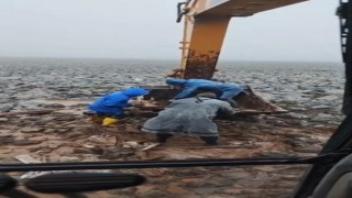 Şanlıurfada çamura saplanan inek kepçe yardımıyla kurtarıldı
