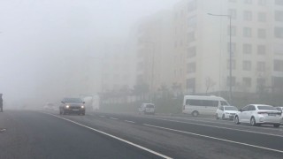 Şanlıurfada yoğun sis etkili oldu