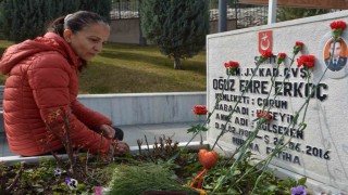 Şehit eşinden duygulandıran sözler: Burası benim damsız evim