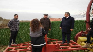 Sinopta hayvancılıkta kalite artıyor