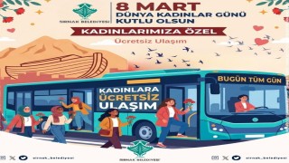 Şırnakta 8 Martta kadınlara ulaşım ücretsiz
