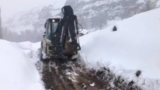 Şırnakta kar yolları kapattı