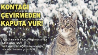 Soğuktan korunmak için girdiği araçta sıkışan kedi kurtarıldı
