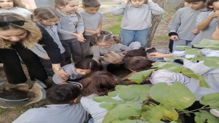 Sökede Orman Haftasında fidanlar gelecek için toprakla buluştu
