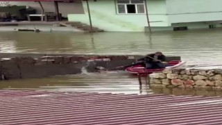 Su taşkınında evde mahsur kalan köpek, vatandaşların bindiği botla kurtarıldı