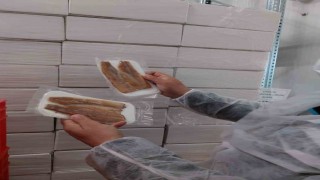 Su ürünleri üretimi yapılan tesislerde denetim