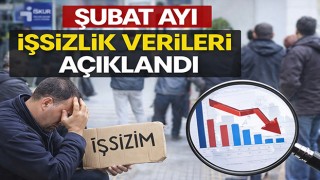 Şubat Ayı İşsizlik Verileri Açıklandı