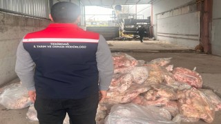 Tekirdağda etiketsiz 2 bin 800 kilogram hayvansal ürün imha edildi