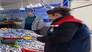 Tekirdağda su ürünleri denetimi aralıksız sürüyor