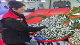 Tekirdağda su ürünlerine sıkı denetim