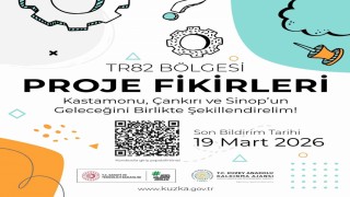 TR82 Bölgesinin gelecek projeleri hazırlanıyor