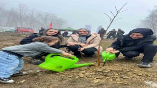 Türkelide yüzlerce fidan toprakla buluştu