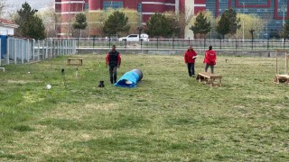 Uluslararası düzeyde alan ve enkaz arama köpekleri sınavı Afyonkarahisarda başladı