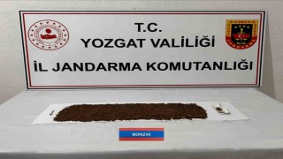 Uyuşturucu şüphelisi kovalamacada jandarmadan kaçamadı