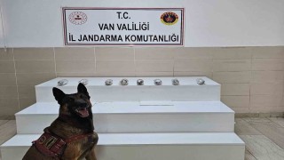 Vanda uyuşturucu madde ele geçirildi