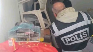 Yabancı turistlerin kredi kartlarını kötü amaçlı kullanan 4 şüpheli yakalandı