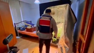 Yalovada evinde uyuşturucu yetiştiren şüpheli yakalandı
