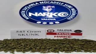 Yalovada uyuşturucu operasyonları: 1 tutuklama