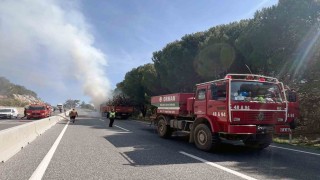 ‘Yangın önlemi için temizlik yapılıyor haberinden bir saat sonra yangın çıktı