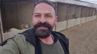 Yavru kangal gönlünü Sibirya kurduna kaptırdı