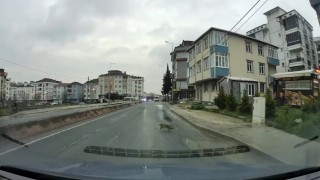 Yoldan geçerken arabanın altında kalan kedi koşarak kaçtı: O anlar araç kamerasına saniye saniye yansıdı