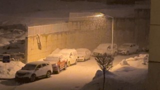 Yüksekovada kar yağışı etkili oldu