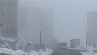 Yüksekovada yoğun sis seyirlik görüntüler oluşturdu