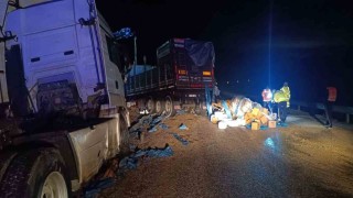 Zirai gübre yüklü tır devrildi: 1 yaralı