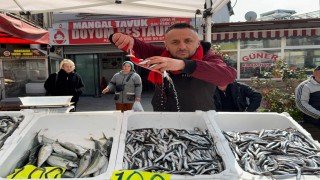 Zonguldakta balık tezgahlarında Ramazan mesaisi; hamsi 100 liradan satılıyor