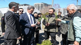 22 yılda 109 milyon 508 bin adet fidan toprakla buluştu