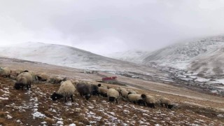 300 yıllık kullanıma müdahale tepki çekti