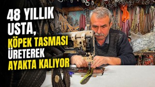 48 Yıllık Usta, Köpek Tasması Üreterek Ayakta Kalıyor