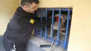 Açlıktan bitkin düşen kedi itfaiye ekiplerince kurtarıldı