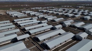 Ağrıda 307 ahırlık hayvancılık üssü hayata geçiyor