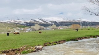 Ağrıda iki mevsim bir arada