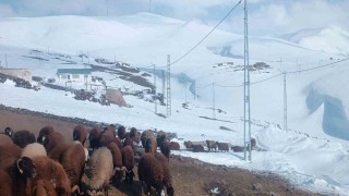 Ağrıda Nisan ayında kar yağışı yolları kapattı