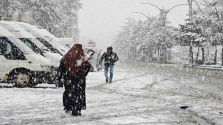 Ahlatta nisan karı etkili oldu