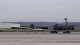 Akan trafikte panik anları: Kaçak at pistte yarışırcasına ilerledi