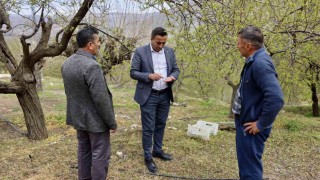 Akçadağ Belediye Başkanı Ulutaş, doludan etkilenen üreticileri ziyaret etti