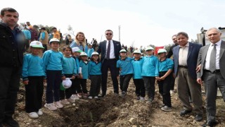 Akdamda 1000 fidan toprakla buluştu
