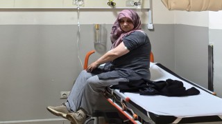 Akrep sokan kadın hastanelik oldu