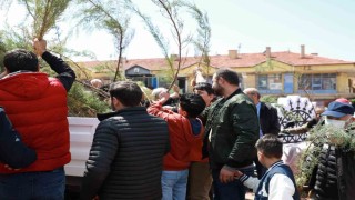 Alaca Belediyesi vatandaşlara 2 bin fidan dağıttı