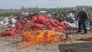 Alacada kaçak sigara ve alkol yakılarak imha edildi